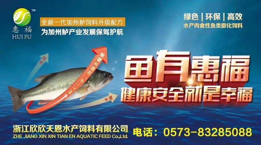 新门与香港内部资料免费查询或2025年天天彩资料大全,全面释义、解释与落实与警惕虚假宣传-全面释义、解释与落实 解析与释义