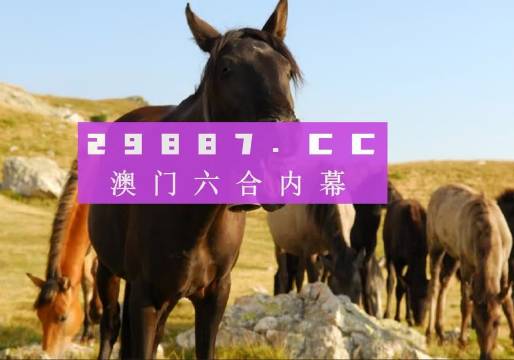 2025年正版免费资料最新版本和2025年正版资料免费大全精准全面释义、重点解读落实和警惕虚假宣-全面释义、重点解读落实